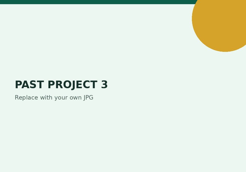 Past project 3